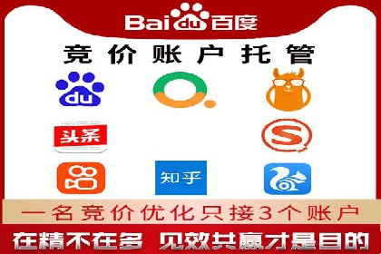 探索专业SEM托管的奥秘：从案例看效果